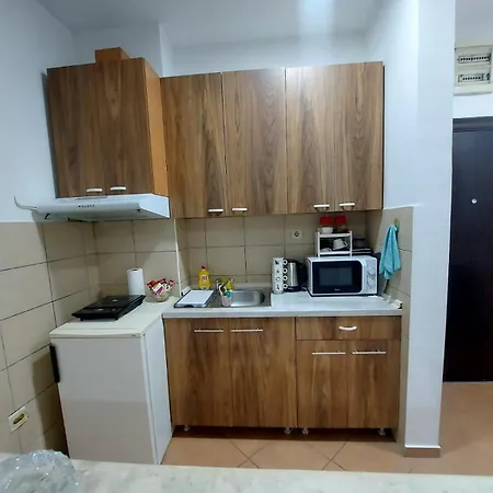 Centar Alek Apartment *